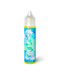 e liquide icee mint 50ml fruizee