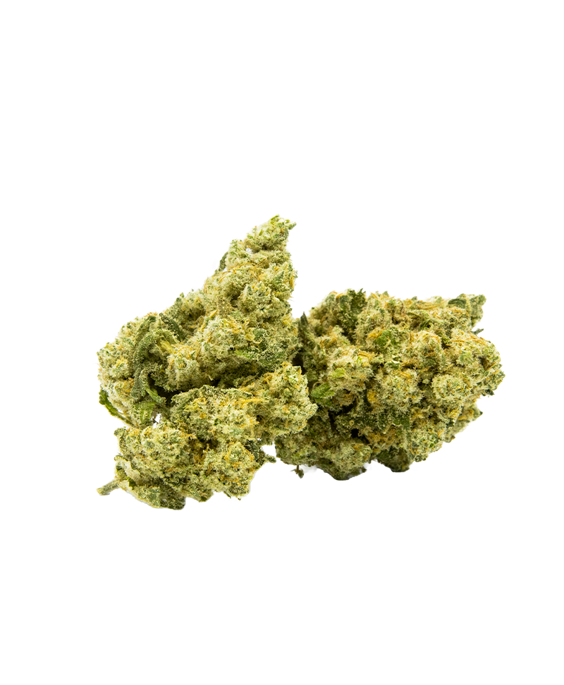AMNESIA HYDRO - FLEUR CBD
