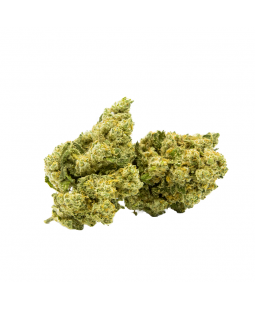 AMNESIA HYDRO - FLEUR CBD