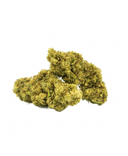 LEMON TONIC FLEUR DE CBD