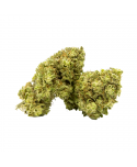SKUNK CBG - FLEUR DE CBD