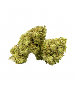 SKUNK CBG - FLEUR DE CBD