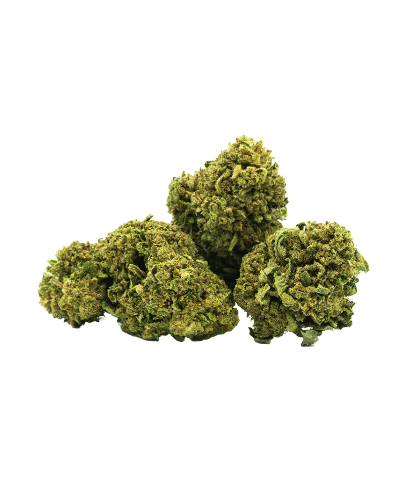 TORUS - FLEUR DE CBD