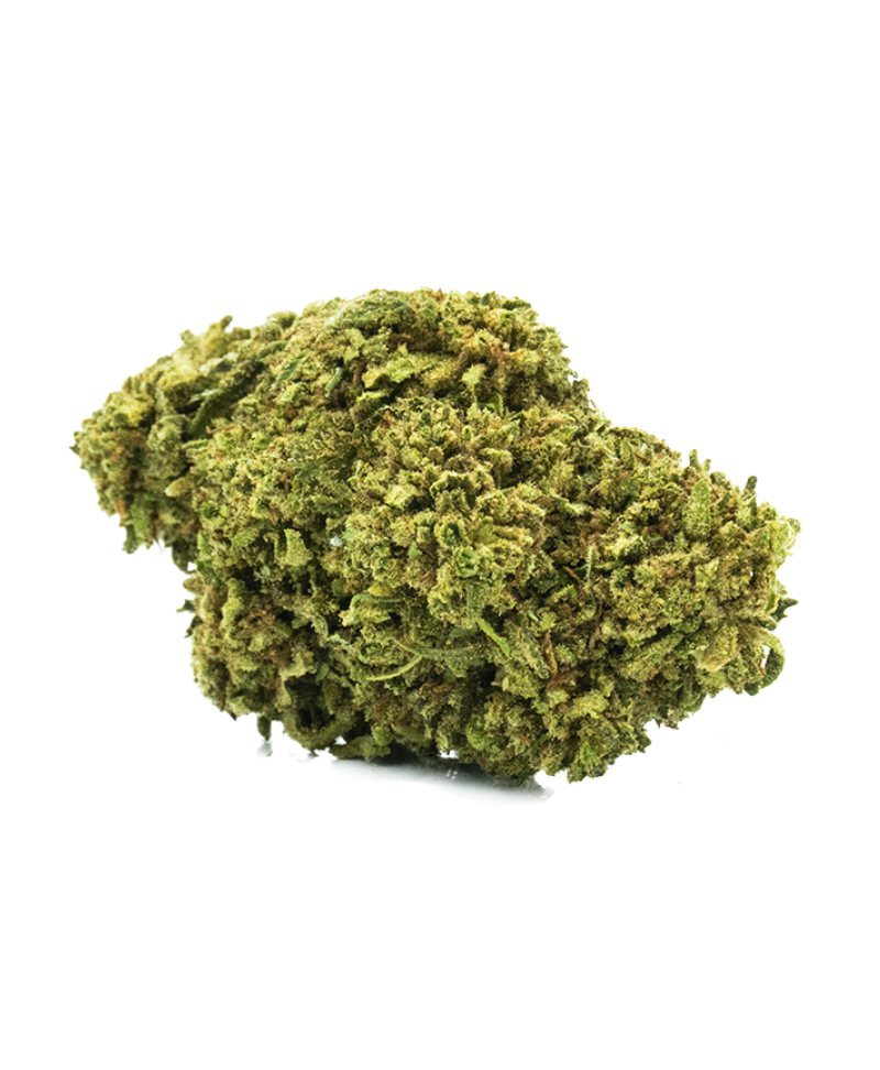 TORUS - FLEUR DE CBD