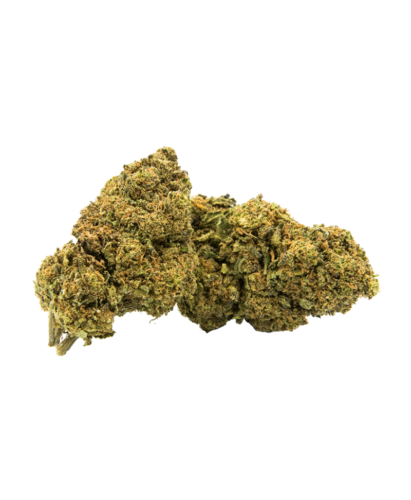 GORILLA DREAM - FLEUR DE CBD