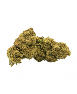 GORILLA DREAM - FLEUR DE CBD
