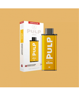CARTOUCHE MANGUE GLACÉE - POD SLIM