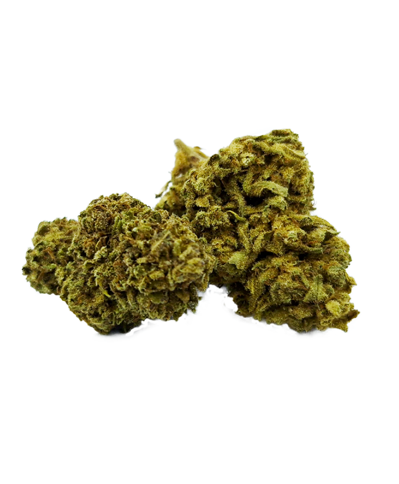 SOUR DIESEL TOULOUSAINE - FLEUR DE CBD
