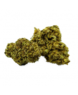 SOUR DIESEL TOULOUSAINE -...