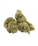 BLACK MAMBA - FLEUR DE CBD
