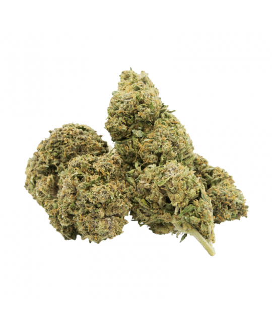 BLACK MAMBA - FLEUR DE CBD