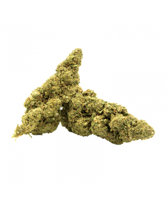 LEMON KUSH - FLEUR DE CBD