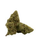 AMNESIA PREMIUM - FLEUR DE CBD