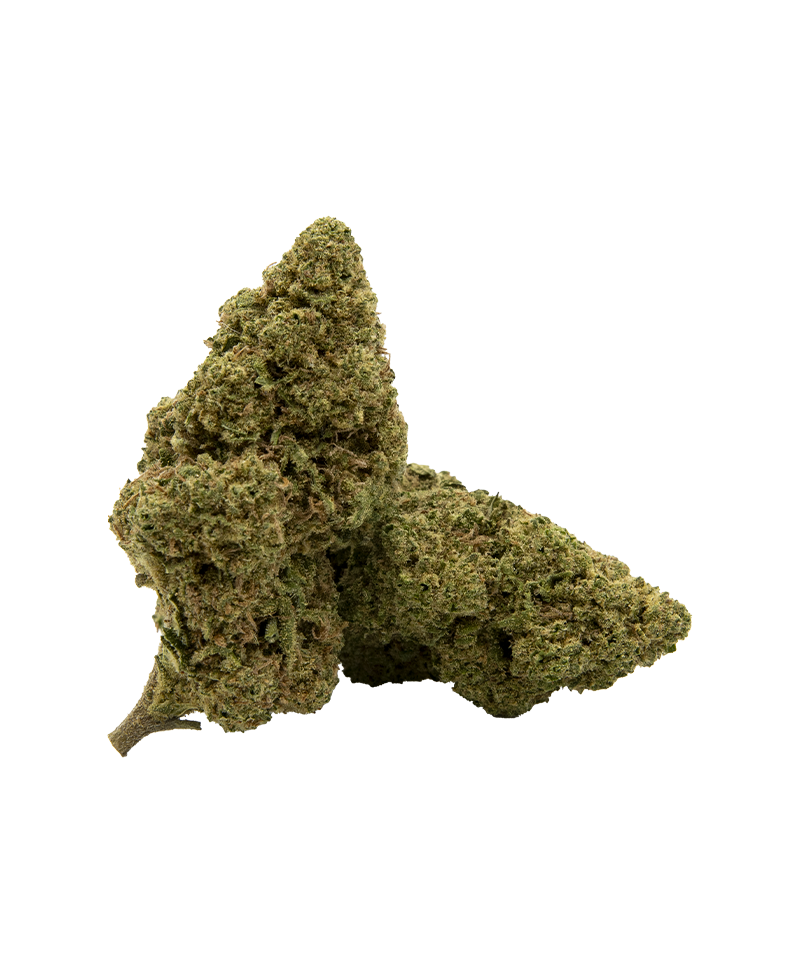 AMNESIA PREMIUM FLEUR DE CBD