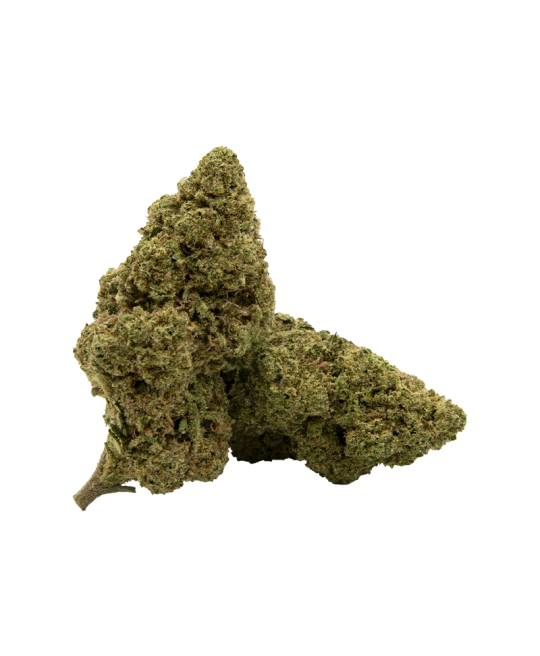 AMNESIA PREMIUM FLEUR DE CBD