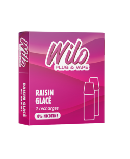 RECHARGES WILO - RAISIN GLACÉ