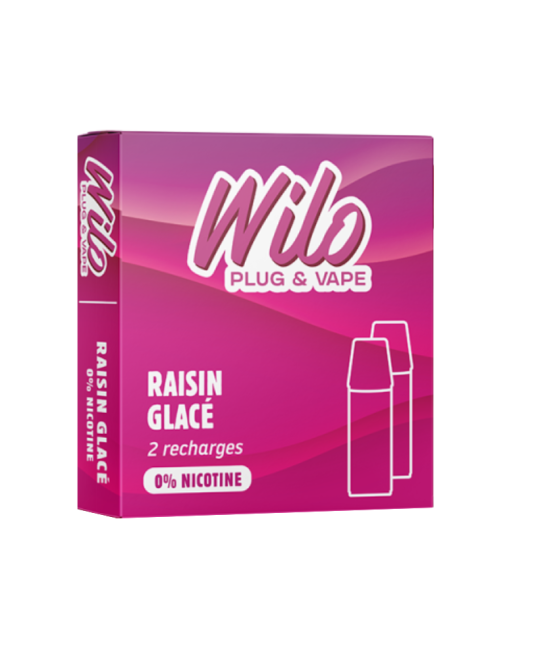 RECHARGES WILO - RAISIN GLACÉ
