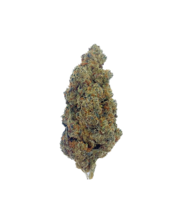AMNESIA HAZE 30% CBN - FLEUR DE CBD