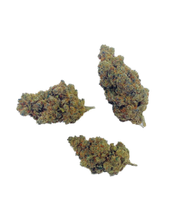 AMNESIA HAZE 30% CBN - FLEUR DE CBD