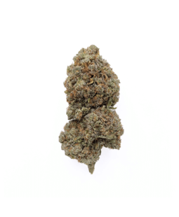 CRITICAL 2.0 - FLEUR DE CBD