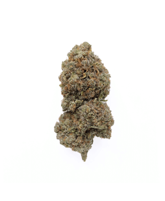 CRITICAL 2.0 - FLEUR DE CBD