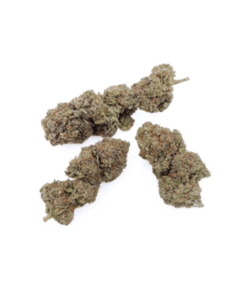 CRITICAL 2.0 - FLEUR DE CBD