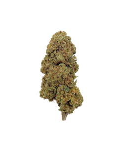 GELATO - FLEUR DE CBD