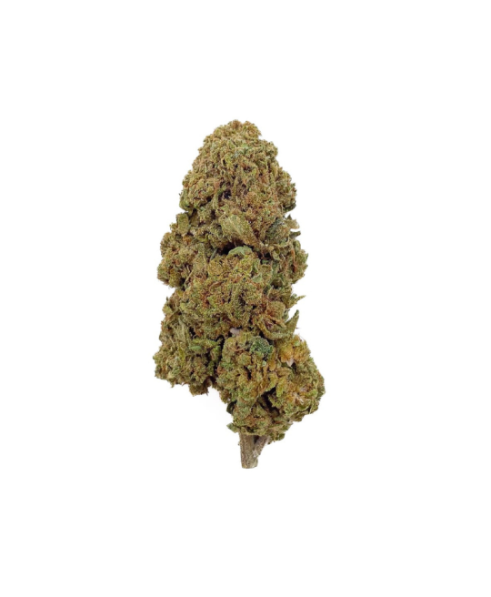 GELATO - FLEUR DE CBD