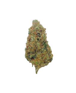 CHARLOTTE'S ANGEL - FLEUR DE CBD