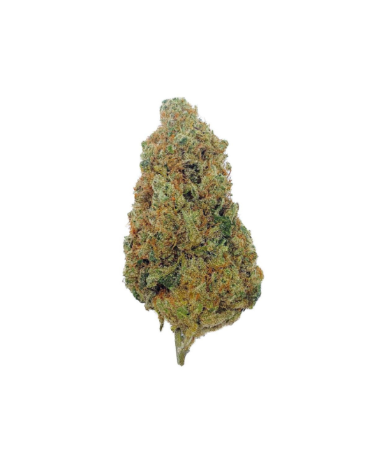 CHARLOTTE'S ANGEL - FLEUR DE CBD