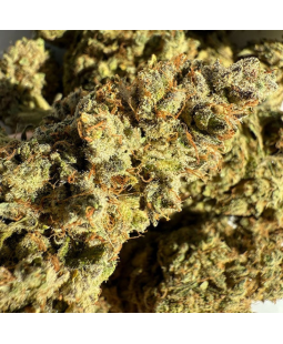 CHARLOTTE'S ANGEL - FLEUR DE CBD