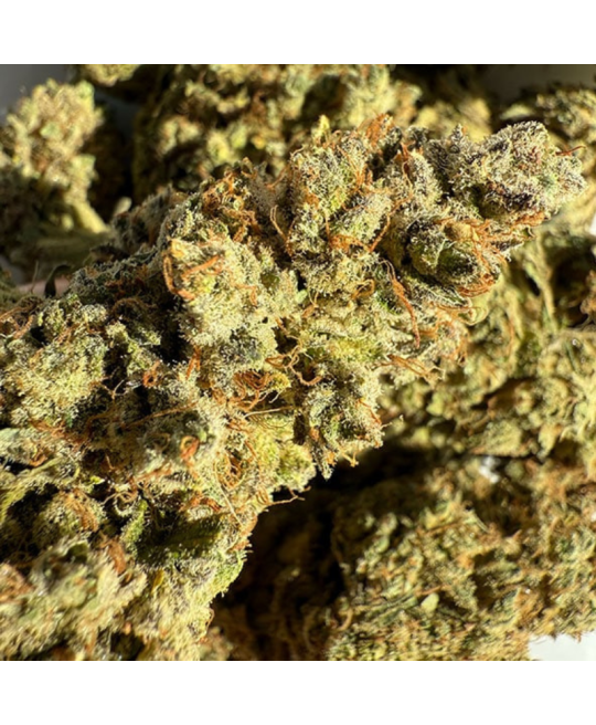 CHARLOTTE'S ANGEL - FLEUR DE CBD