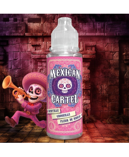 MYRTILLE GROSEILLE FLEUR DE SUREAU 100ML - MEXICAN CARTEL