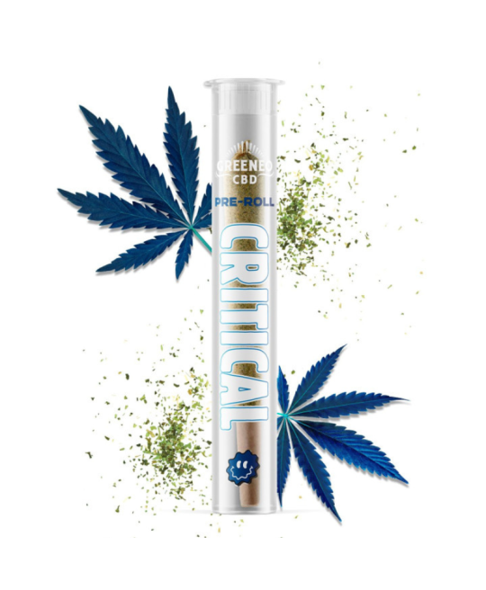 PRE ROLL CBD CRITICAL - GREENEO