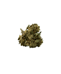 JACK HERER - FLEUR DE CBD