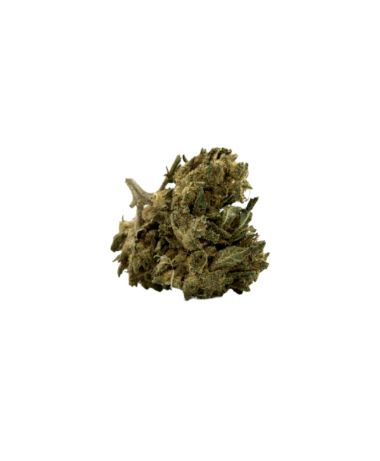 JACK HERER - FLEUR DE CBD