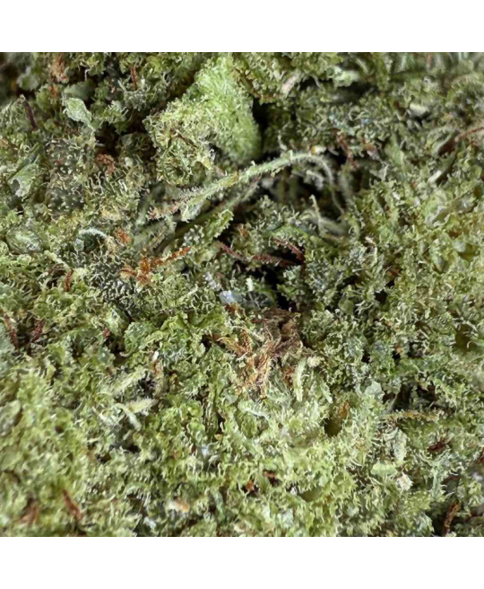 STRAWBERRY FROZEN - FLEUR DE CBD