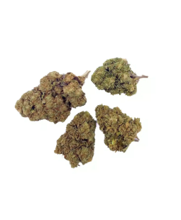 AK 47 - FLEUR DE CBD