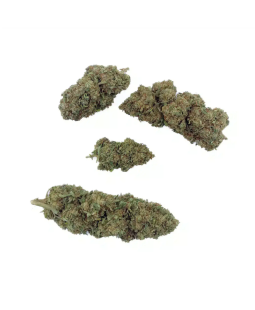 BANANA SMASH - FLEUR DE CBD