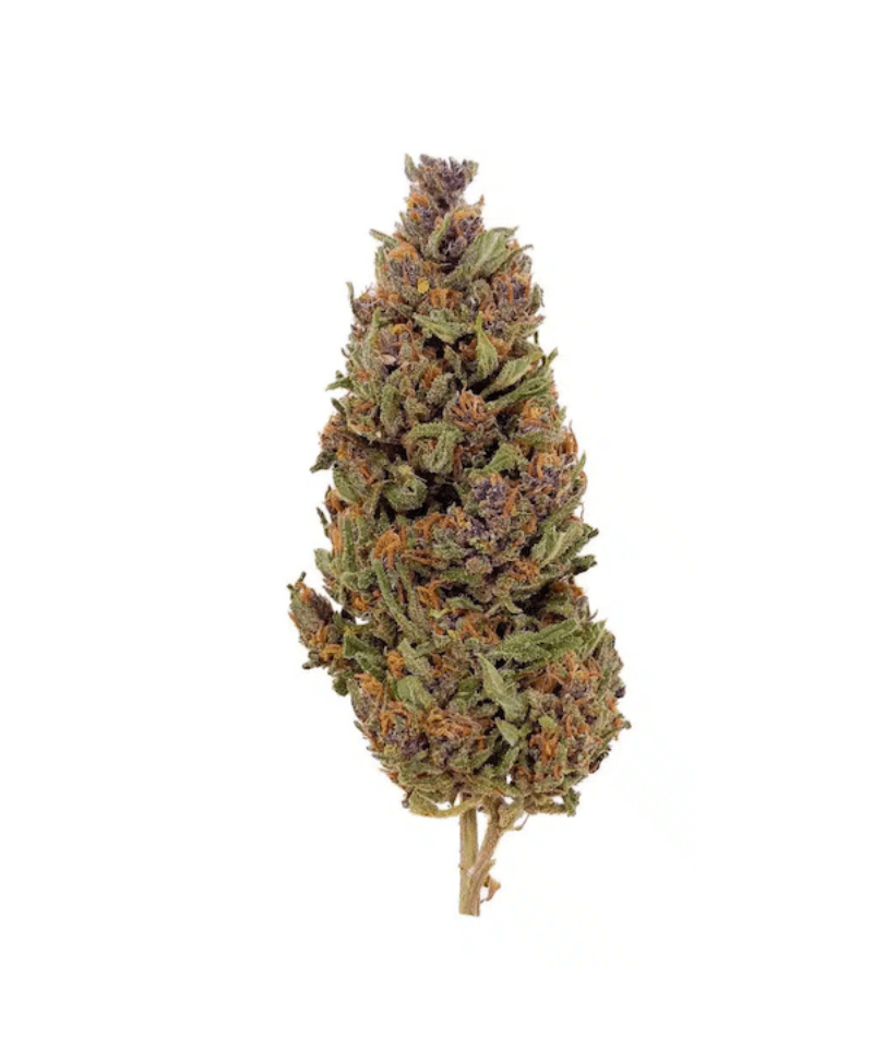 BUBBLE GUM - FLEUR DE CBD