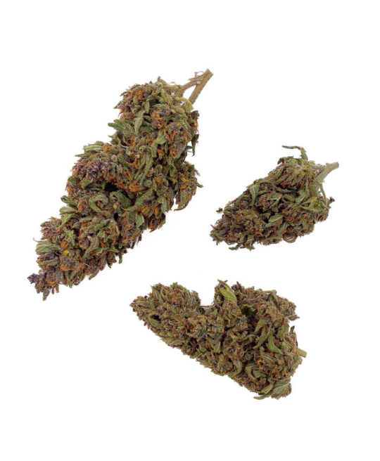 BUBBLE GUM - FLEUR DE CBD