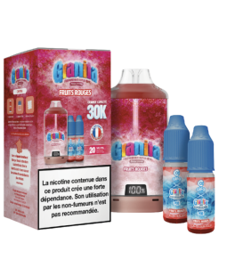BIG PUFF FRUITS ROUGES GRANITA 30K - ALFALIQUID