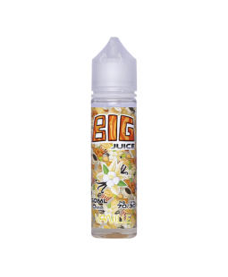 VANILLE 50ML - BIG JUICE