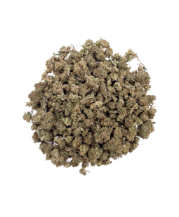 CRITICAL 2.0 FLEUR DE CBD